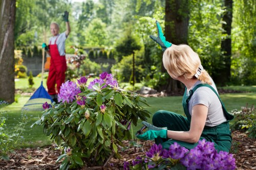 Healthy green lawn care in Wennington during spring