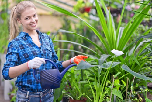 Gardening service complaint process overview