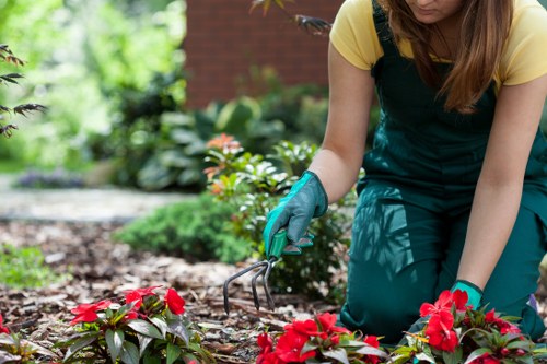 Public liability insurance and professional gardening protection in Wennington