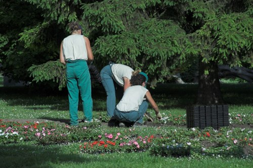 Seasonal grass cutting and lawn care in Wennington