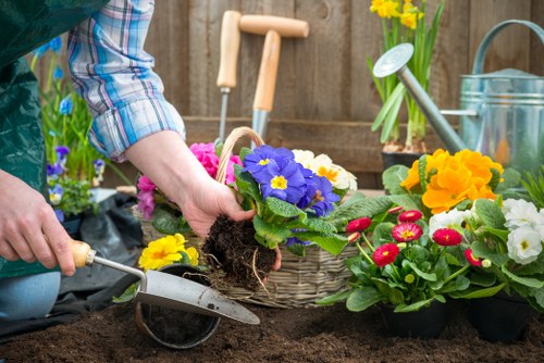 Seasonal planting and lawn care in Wennington garden