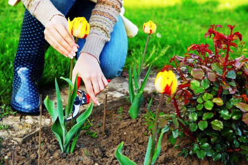 Landscape gardening plan for a Wennington outdoor space