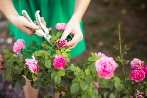 Local gardening experts in Wennington working on outdoor spaces