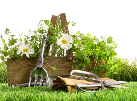 Worker applying health and safety controls during outdoor garden work