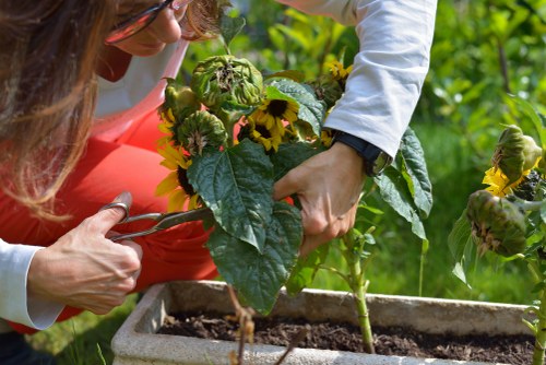Local Wennington gardening services for planting, pruning, and hedge cutting