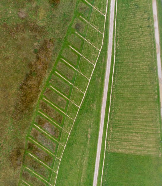 An aerial view of a garden near the Ingrebourne River, showing a well-maintained grassy area with defined garden beds and borders. The garden features neatly trimmed grass and a series of rectangular 